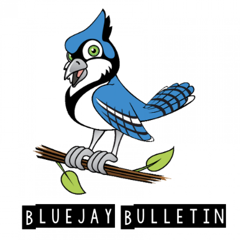 Bluejay Bulletin
