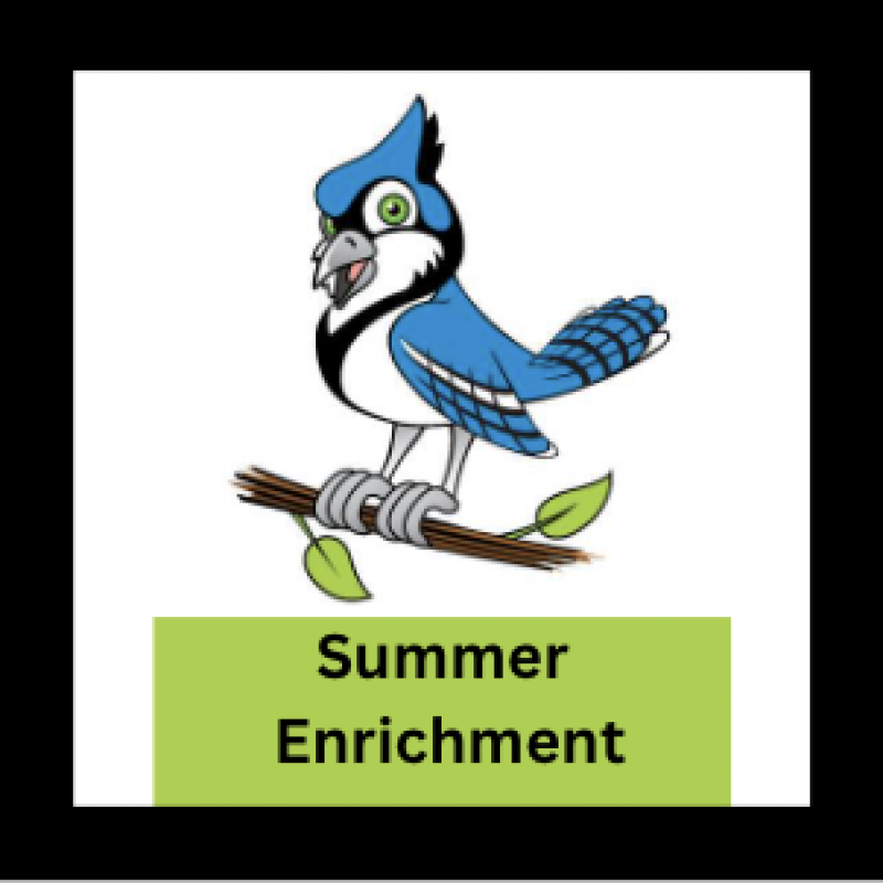 Summer Enrichment